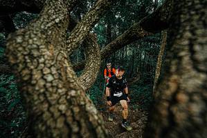 BIB: 
                            <button type="button" onclick="openModal(25696619)" class="btn btn-primary btn-sm float-right btn-popup" data-toggle="modal" data-target=".modal-high-quality">
                        <i class="fas fa-shopping-cart"></i> Add to Cart
                    </button>
                                            <button type="button" onclick="isThisMe(25696619, true)" class="btn btn-success btn-sm float-right btn-popup btn-isme hidden" data-toggle="tooltip" data-placement="bottom" title="นี่คือรูปของคุณใช่ไหม คลิกที่นี่เพื่อเอาเข้าอัลบั้ม">
                        <i class="fas fa-plus"></i> Add to album
                    </button>
                    <button type="button" onclick="isThisMe(25696619, false)" class="btn btn-warning btn-sm float-right btn-popup btn-isnotme hidden">
                        <i class="fas fa-ban"></i> Remove from album
                    </button>